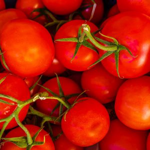 طماطم مغربي